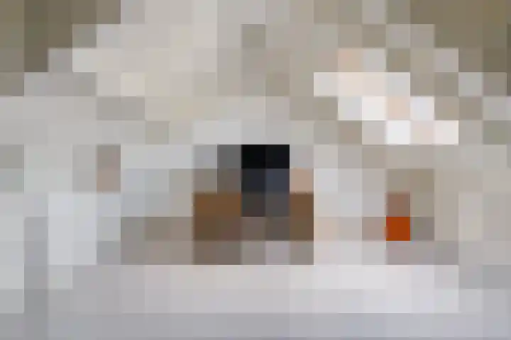 Hysopveld 34 Veghel thumbnail 23