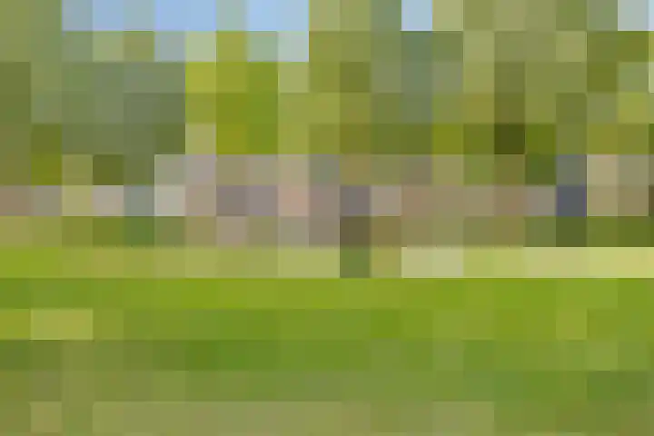 Hysopveld 34 Veghel thumbnail 26