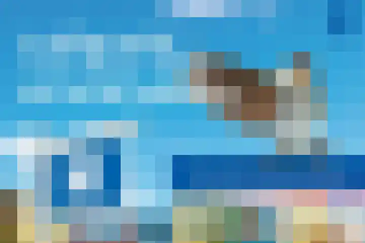 Hysopveld 34 Veghel thumbnail 31