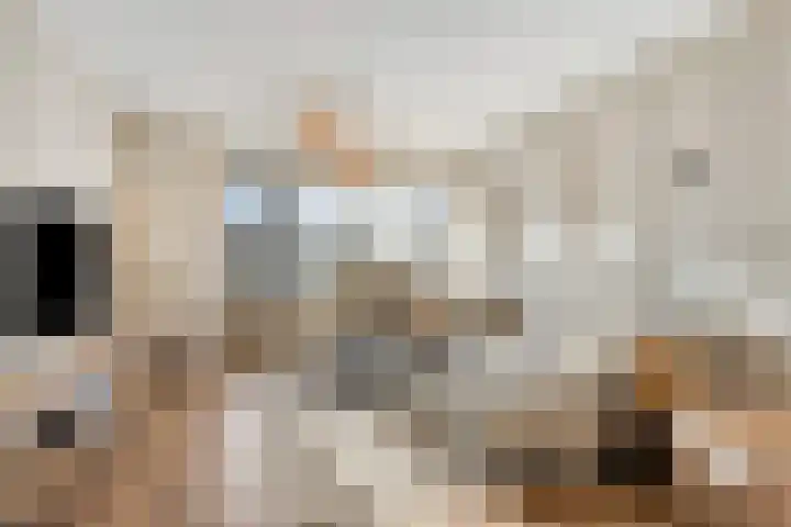 I.C. van der Lindestraat 42 Biervliet thumbnail 12