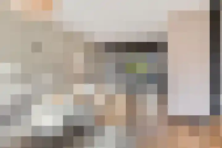 I.C. van der Lindestraat 42 Biervliet thumbnail 13