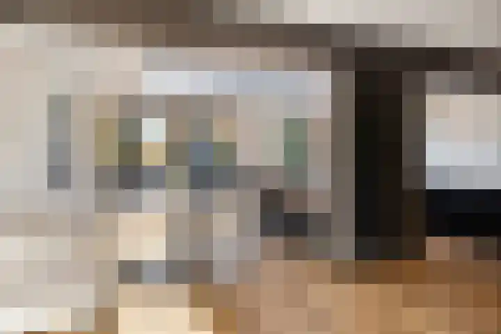 I.C. van der Lindestraat 42 Biervliet thumbnail 14