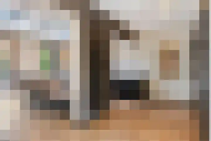 I.C. van der Lindestraat 42 Biervliet thumbnail 15