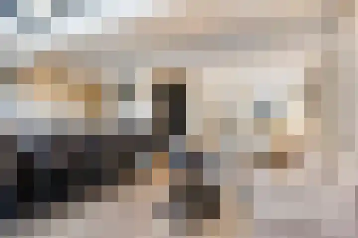 I.C. van der Lindestraat 42 Biervliet thumbnail 16