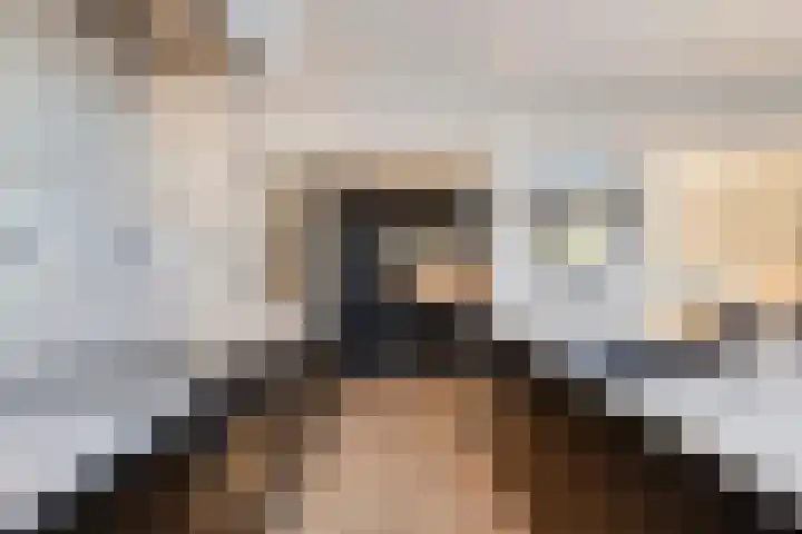 I.C. van der Lindestraat 42 Biervliet thumbnail 18
