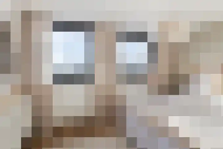 I.C. van der Lindestraat 42 Biervliet thumbnail 29