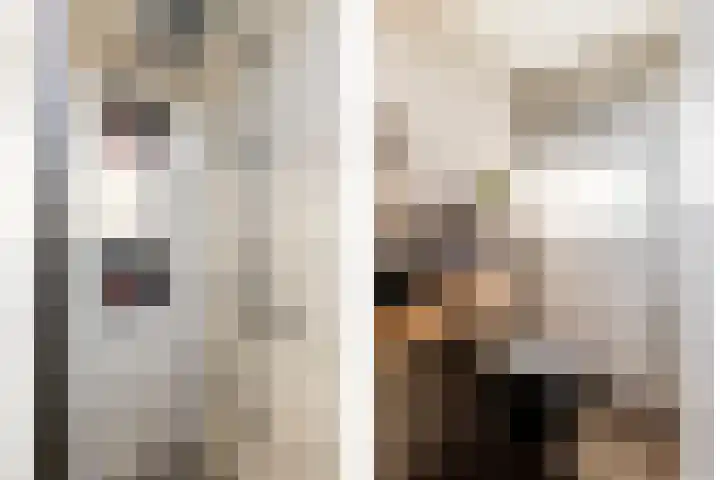 I.C. van der Lindestraat 42 Biervliet thumbnail 35