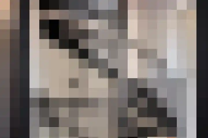 I.C. van der Lindestraat 42 Biervliet thumbnail 36