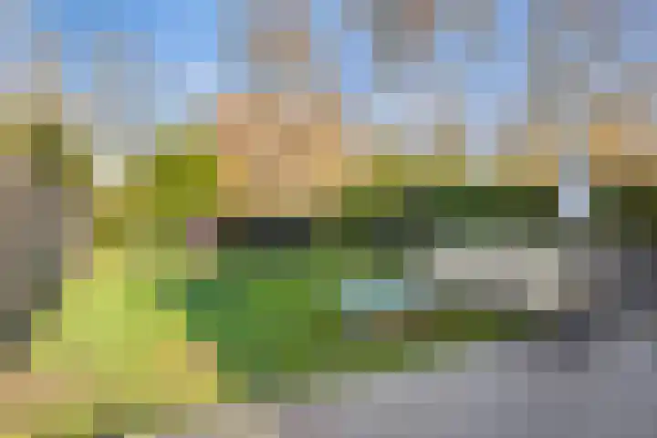 I.C. van der Lindestraat 42 Biervliet thumbnail 41