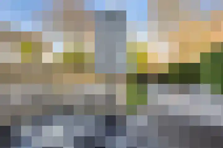 I.C. van der Lindestraat 42 Biervliet thumbnail 42