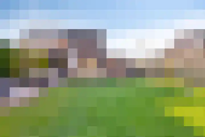 I.C. van der Lindestraat 42 Biervliet thumbnail 43