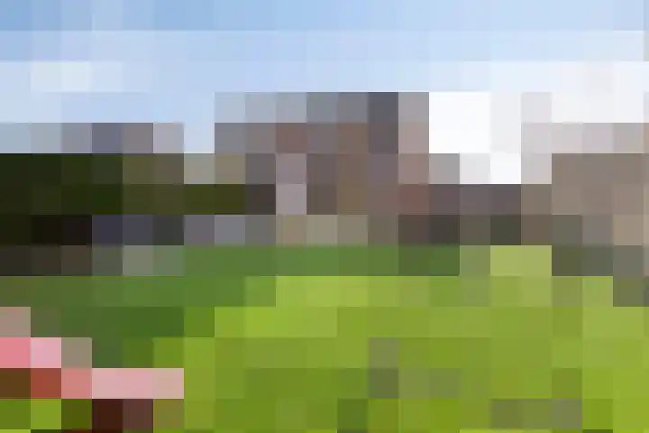I.C. van der Lindestraat 42 Biervliet thumbnail 44