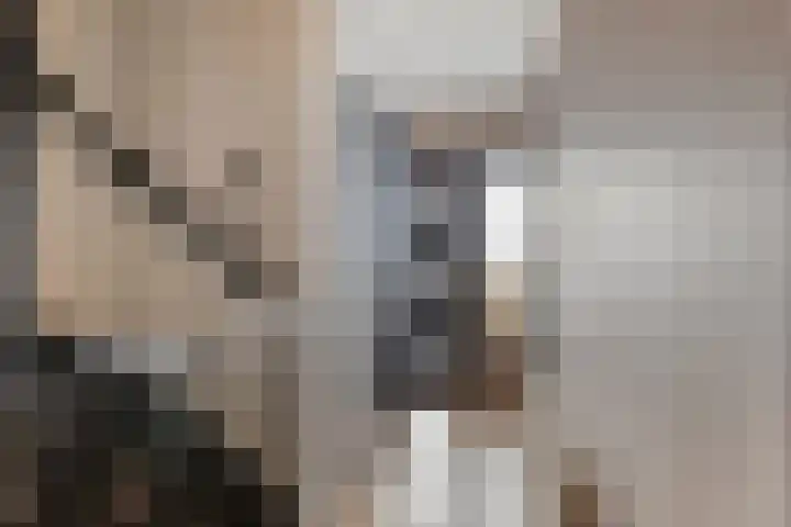 I.C. van der Lindestraat 42 Biervliet thumbnail 6