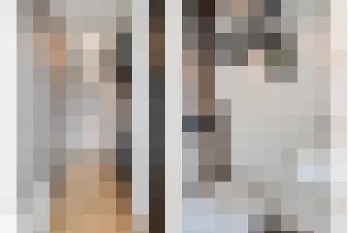 I.C. van der Lindestraat 42 Biervliet thumbnail 7