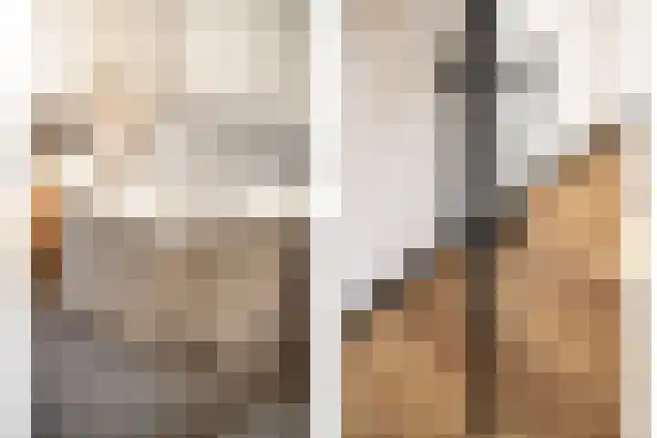 I.C. van der Lindestraat 42 Biervliet thumbnail 9
