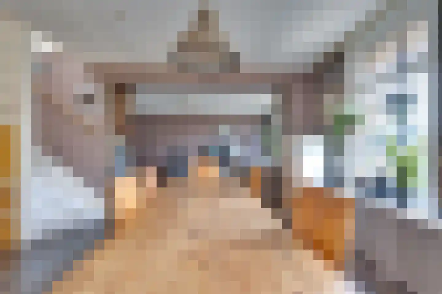 I.G.J.van den Boschstraat 19 Wilhelminadorp thumbnail 12