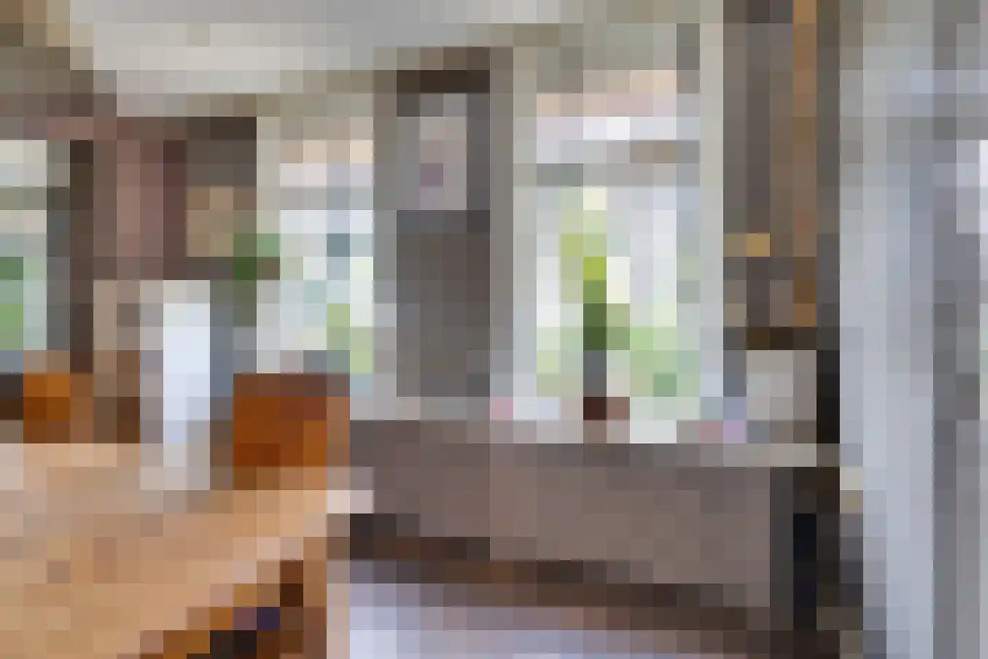 I.G.J.van den Boschstraat 19 Wilhelminadorp thumbnail 13