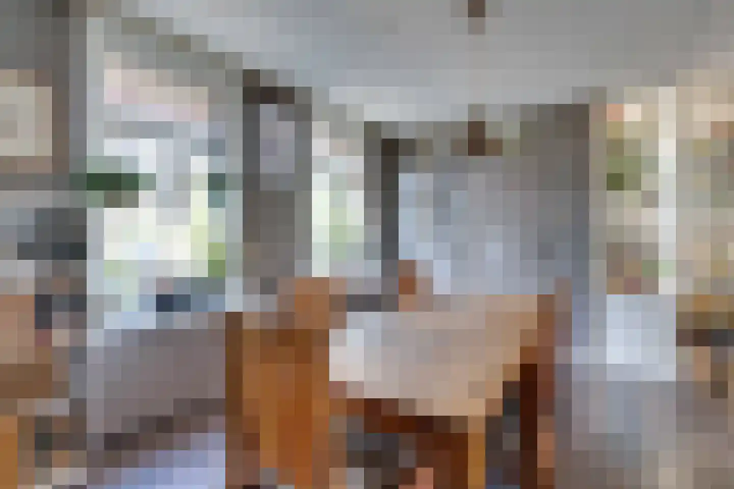 I.G.J.van den Boschstraat 19 Wilhelminadorp thumbnail 14