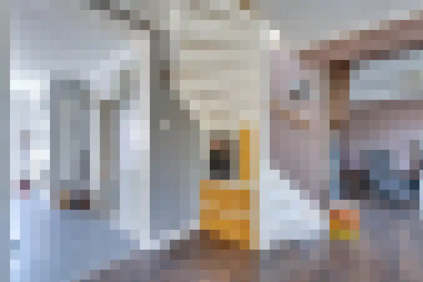 I.G.J.van den Boschstraat 19 Wilhelminadorp thumbnail 20
