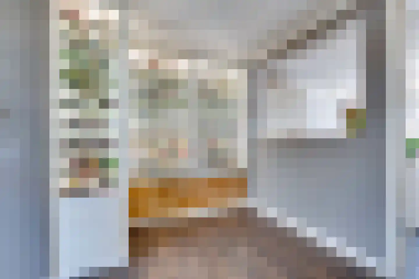 I.G.J.van den Boschstraat 19 Wilhelminadorp thumbnail 21
