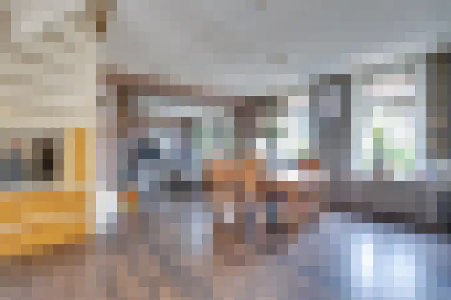 I.G.J.van den Boschstraat 19 Wilhelminadorp thumbnail 23
