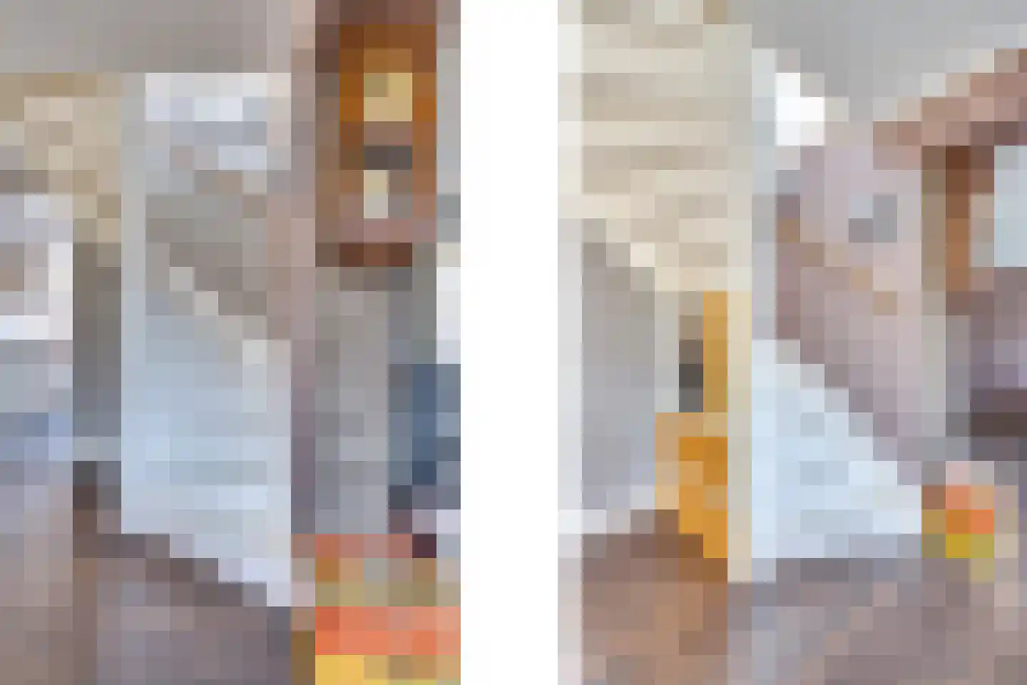 I.G.J.van den Boschstraat 19 Wilhelminadorp thumbnail 25