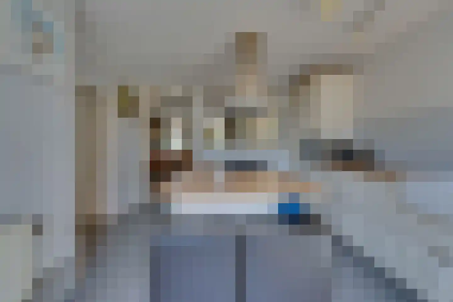 I.G.J.van den Boschstraat 19 Wilhelminadorp thumbnail 30
