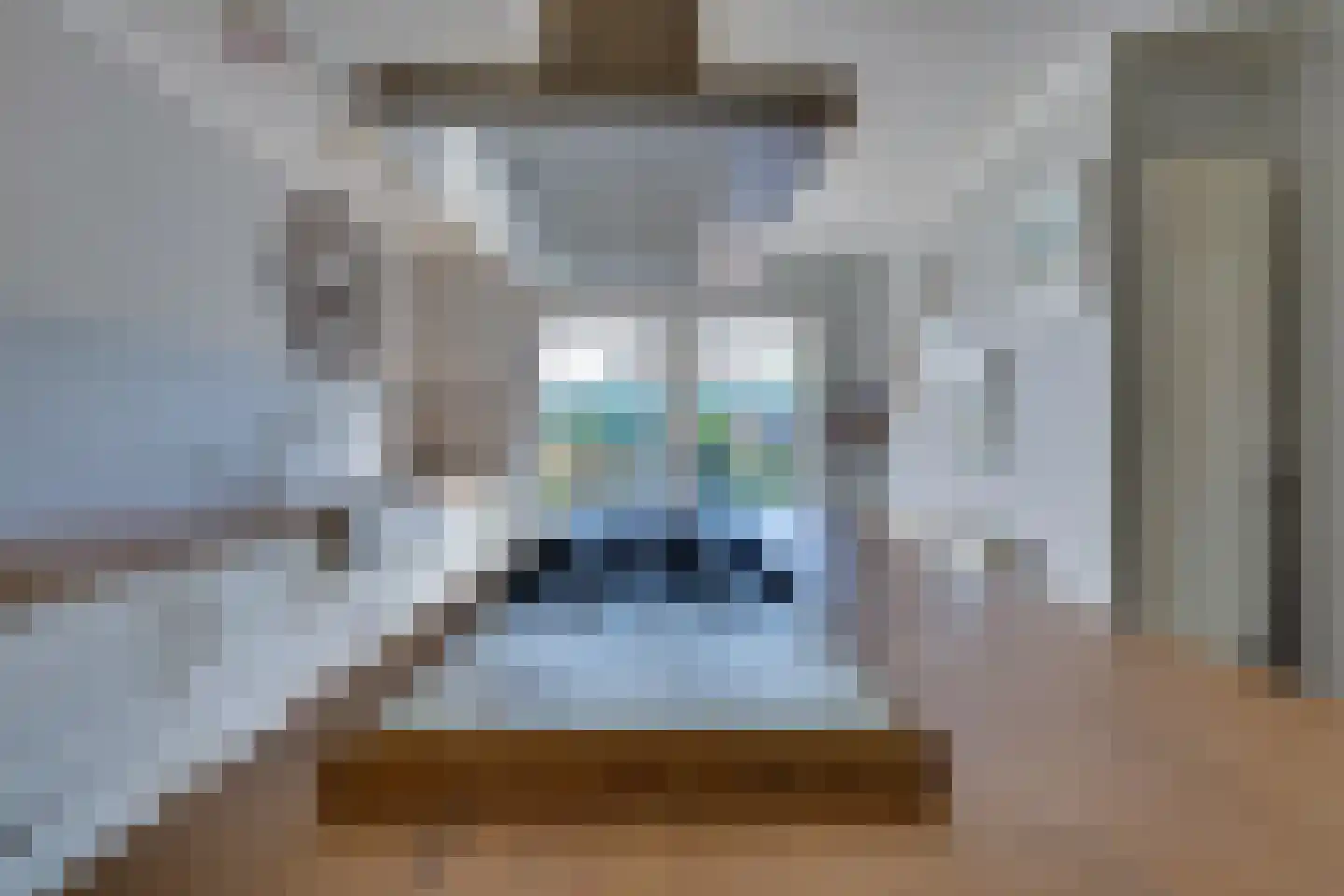 I.G.J.van den Boschstraat 19 Wilhelminadorp thumbnail 31
