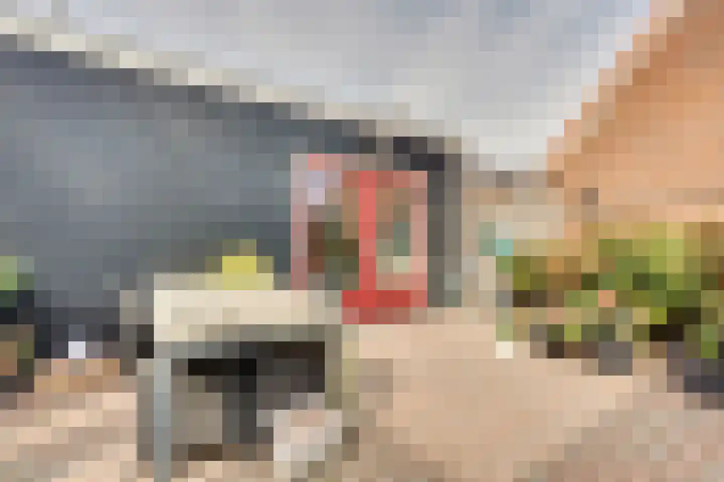 I.G.J.van den Boschstraat 19 Wilhelminadorp thumbnail 54