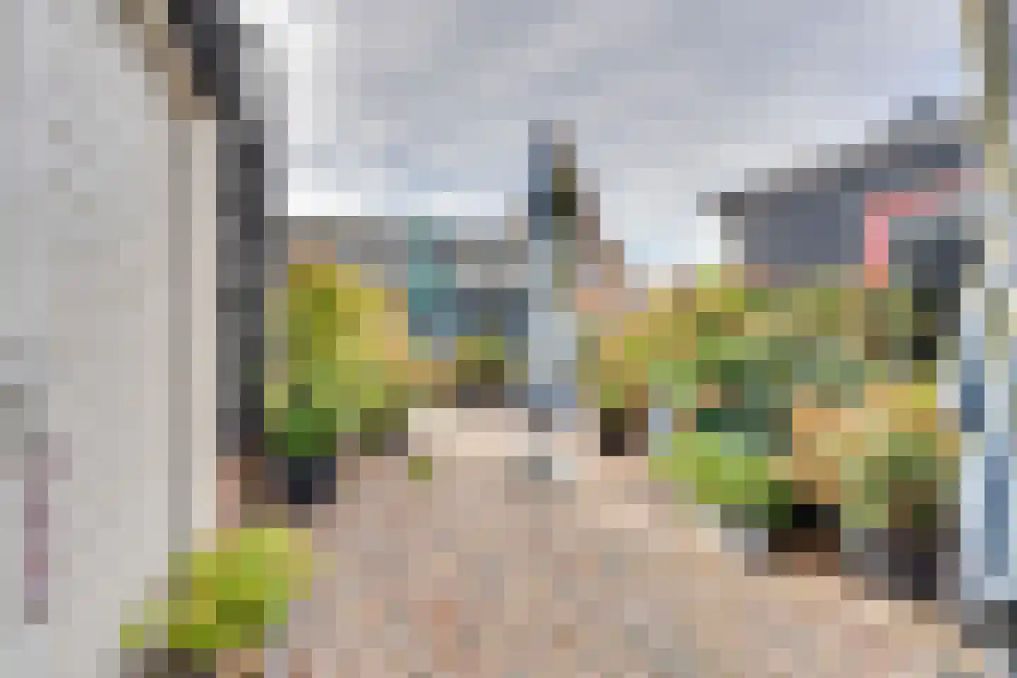 I.G.J.van den Boschstraat 19 Wilhelminadorp thumbnail 55