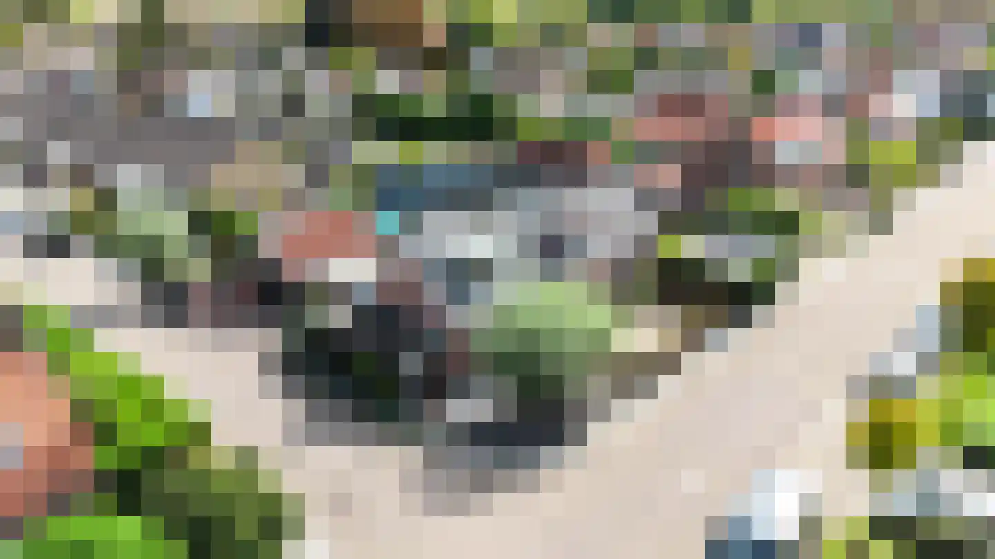 I.G.J.van den Boschstraat 19 Wilhelminadorp thumbnail 69