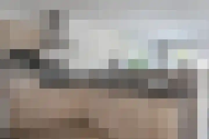 I.G.J.van den Boschstraat 2 A Wilhelminadorp thumbnail 16