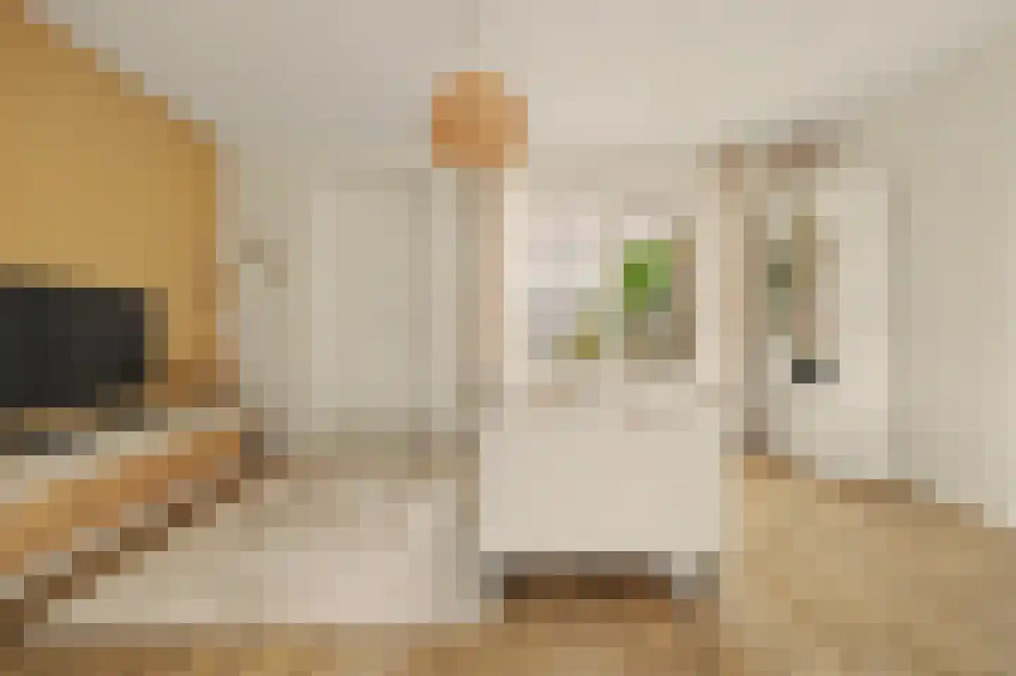 I.G.J.van den Boschstraat 2 E Wilhelminadorp thumbnail 16