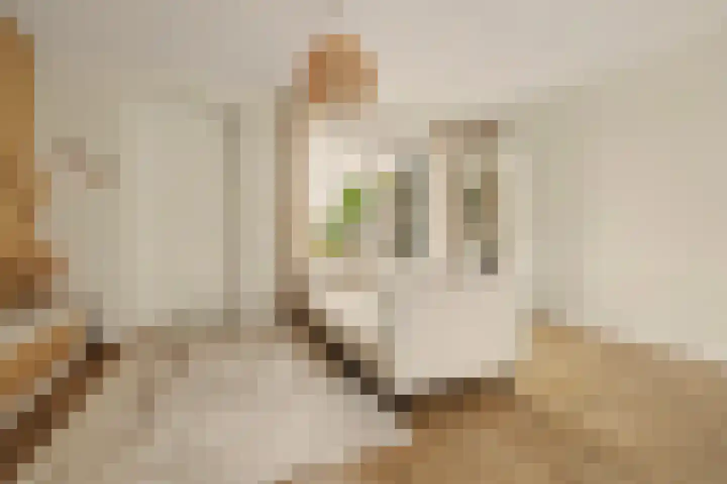 I.G.J.van den Boschstraat 2 E Wilhelminadorp thumbnail 17
