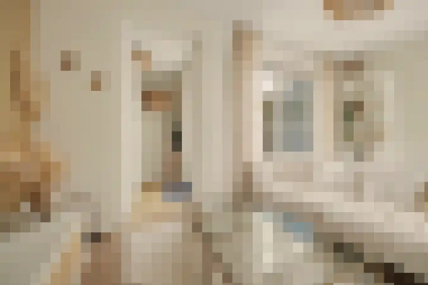 I.G.J.van den Boschstraat 2 E Wilhelminadorp thumbnail 18