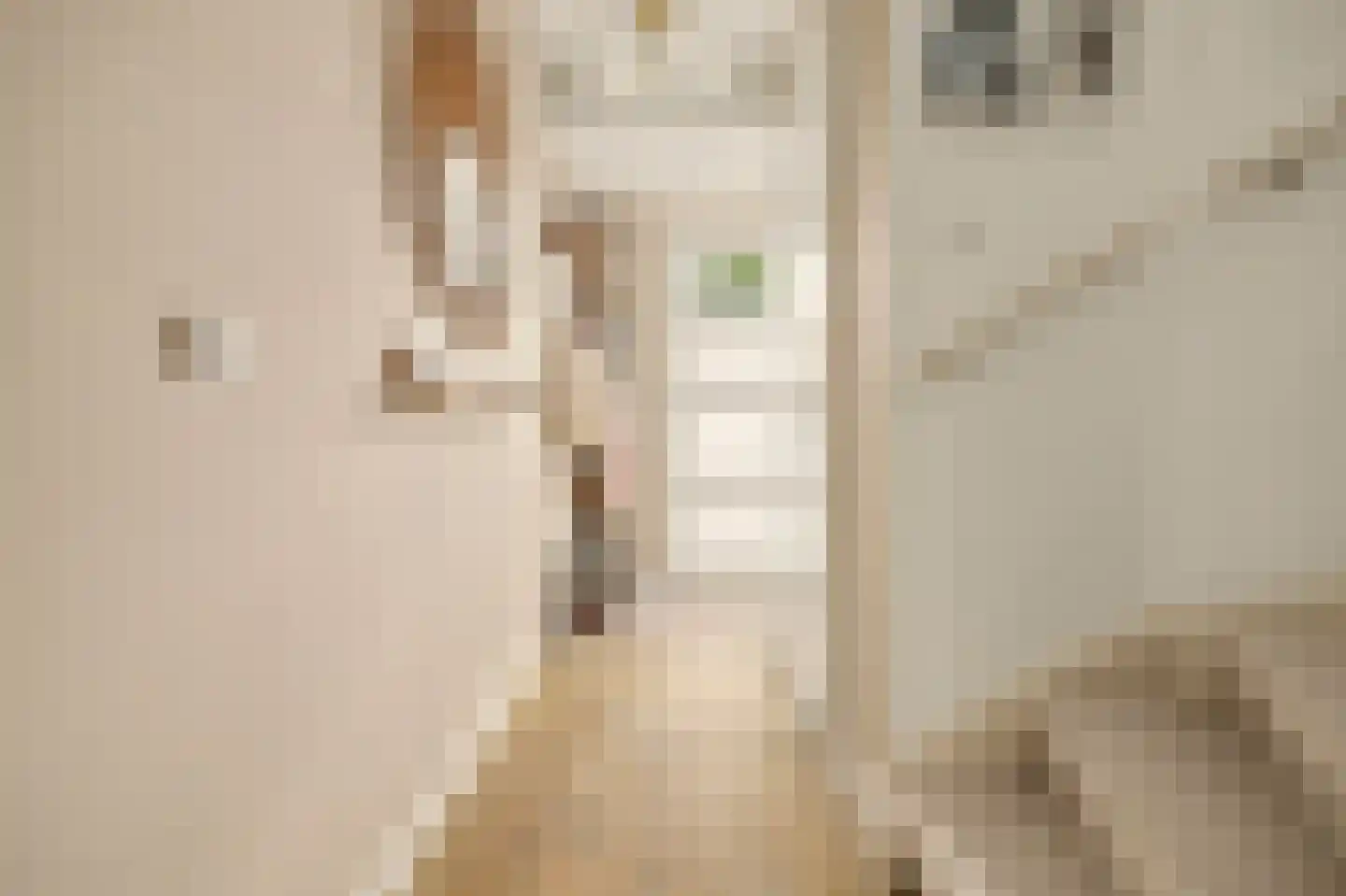 I.G.J.van den Boschstraat 2 E Wilhelminadorp thumbnail 20
