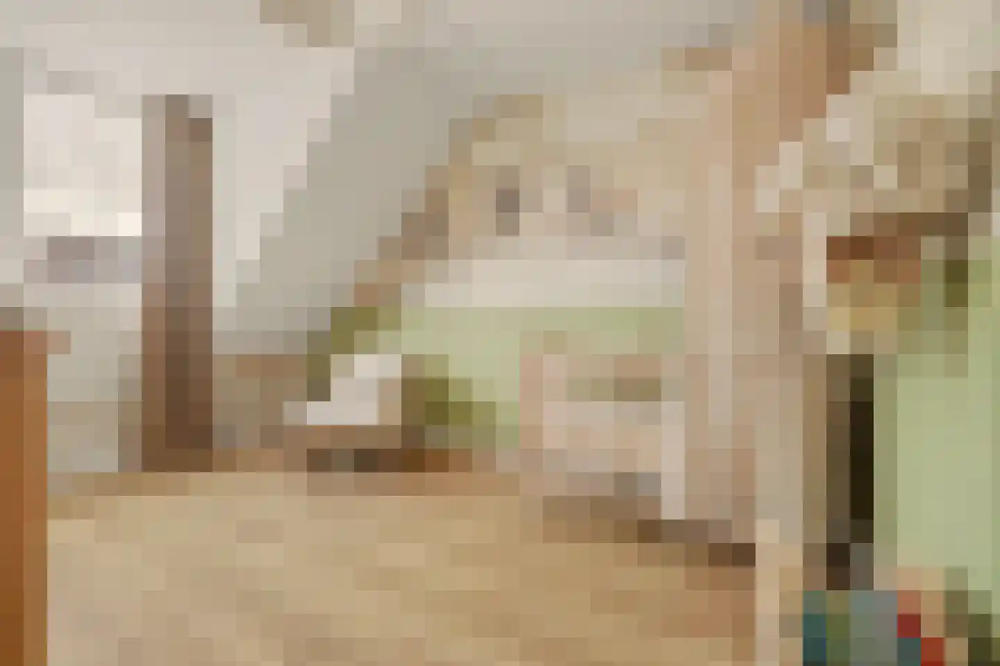 I.G.J.van den Boschstraat 2 E Wilhelminadorp thumbnail 24