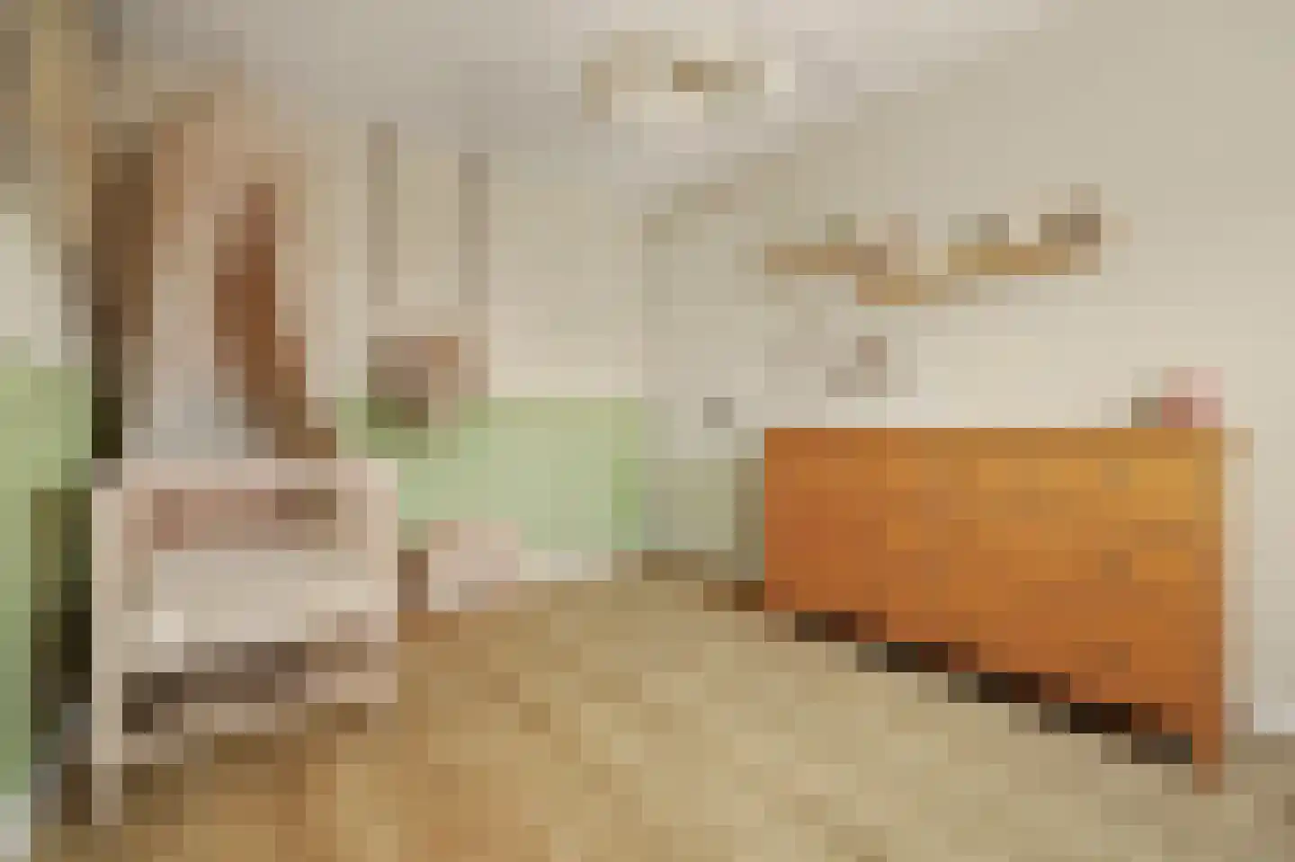 I.G.J.van den Boschstraat 2 E Wilhelminadorp thumbnail 26
