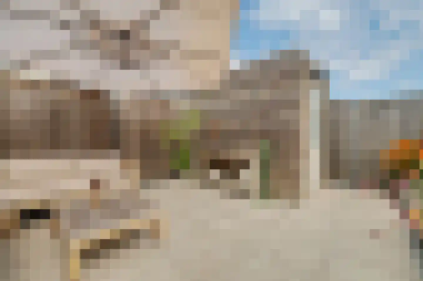 I.G.J.van den Boschstraat 2 E Wilhelminadorp thumbnail 42