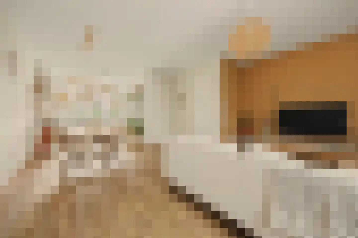 I.G.J.van den Boschstraat 2 E Wilhelminadorp thumbnail 6