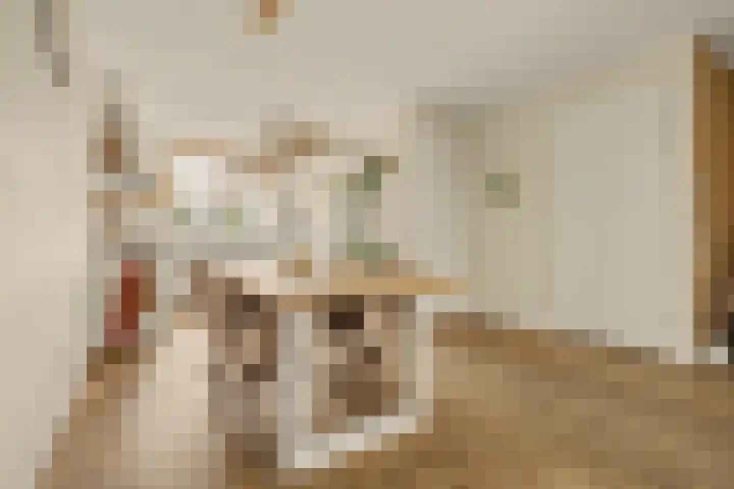 I.G.J.van den Boschstraat 2 E Wilhelminadorp thumbnail 8