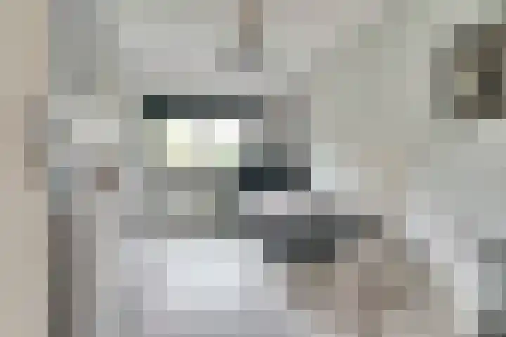 I.G.J.van den Boschstraat 43 Wilhelminadorp thumbnail 22