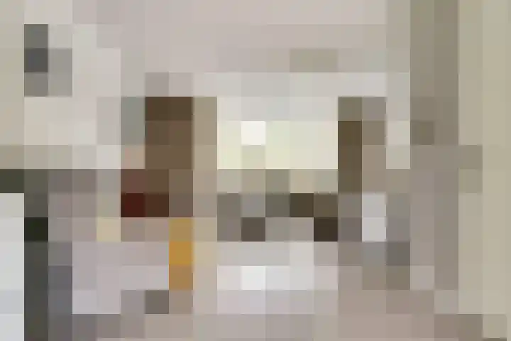 I.G.J.van den Boschstraat 43 Wilhelminadorp thumbnail 6