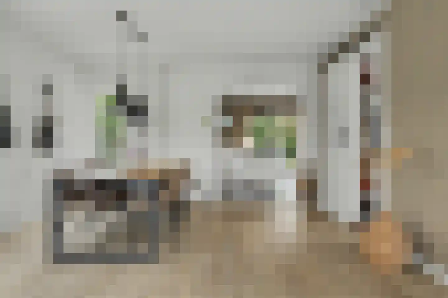 I.G.J.van den Boschstraat 53 Wilhelminadorp thumbnail 10