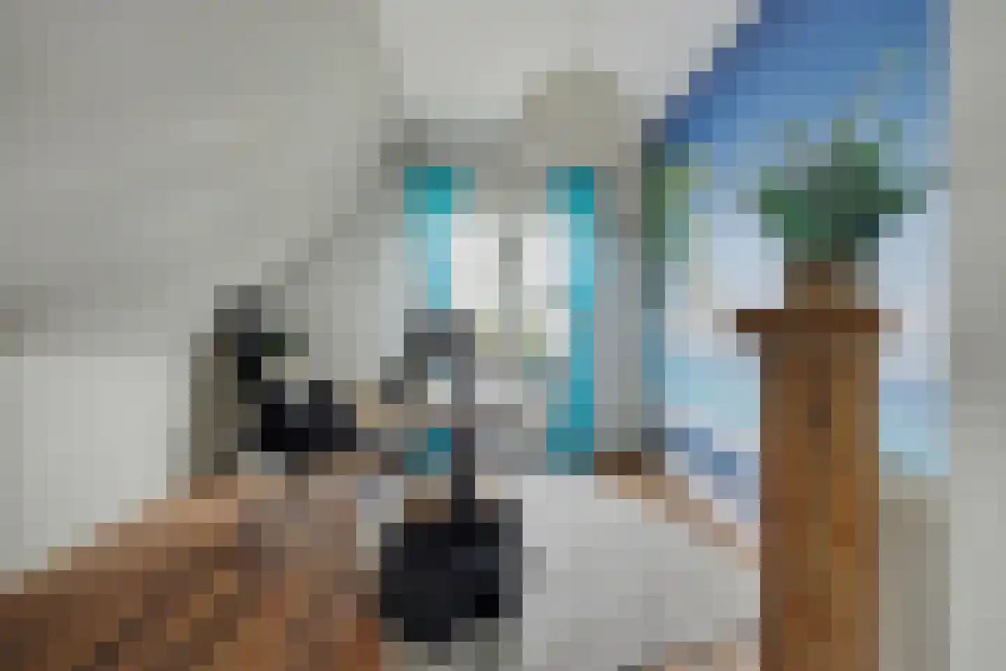 I.G.J.van den Boschstraat 53 Wilhelminadorp thumbnail 32