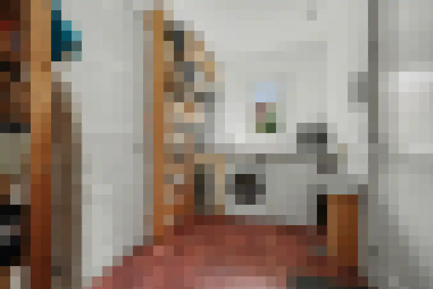 I.G.J.van den Boschstraat 53 Wilhelminadorp thumbnail 33