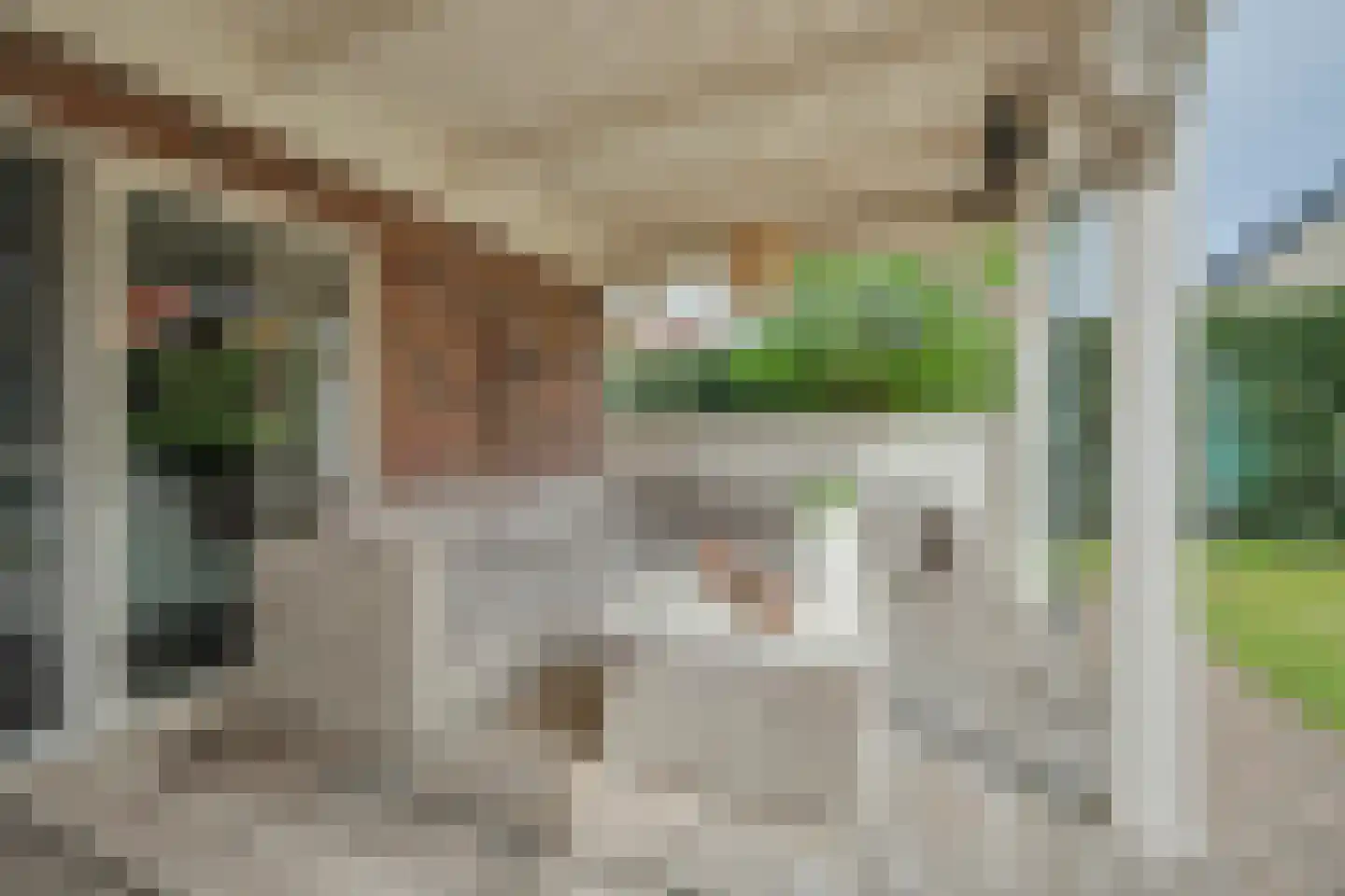 I.G.J.van den Boschstraat 53 Wilhelminadorp thumbnail 34