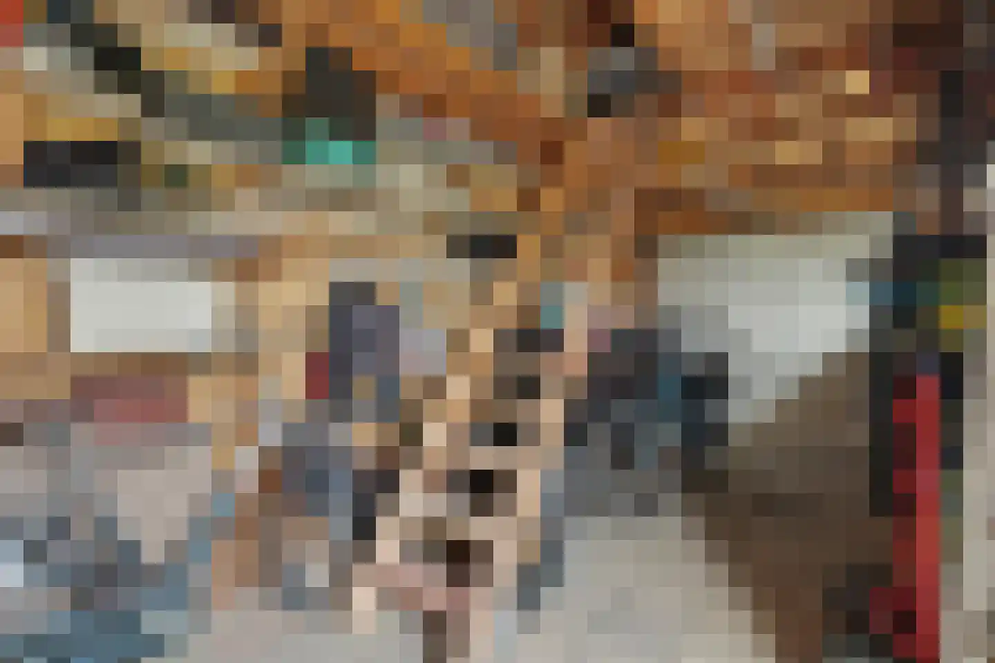 I.G.J.van den Boschstraat 53 Wilhelminadorp thumbnail 43