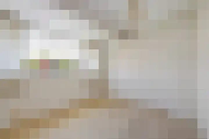 I.G.J.van den Boschstraat 7 Wilhelminadorp thumbnail 12