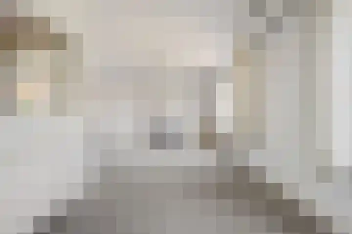 I.G.J.van den Boschstraat 7 Wilhelminadorp thumbnail 6